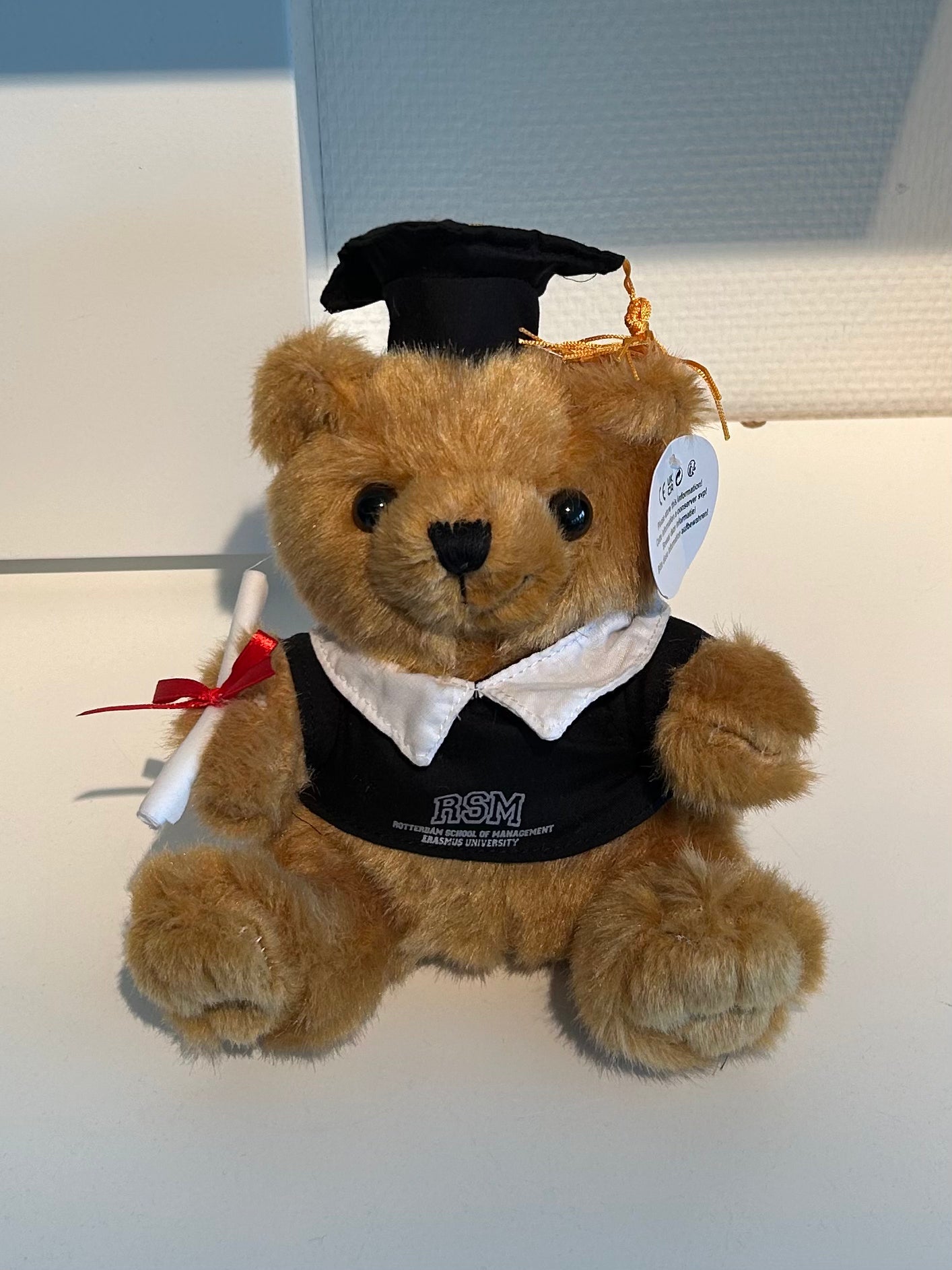Graduation Bear