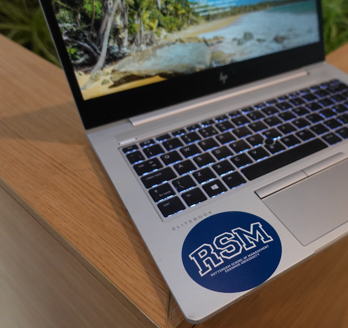 Asm Round Sticker Round Sticker – RSM Store